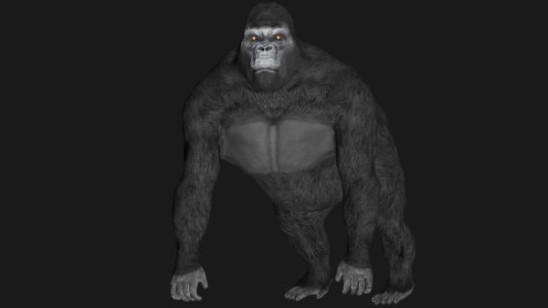 Gorilla 3d model