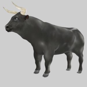 Ox 3d model