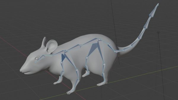 Rat 3d model