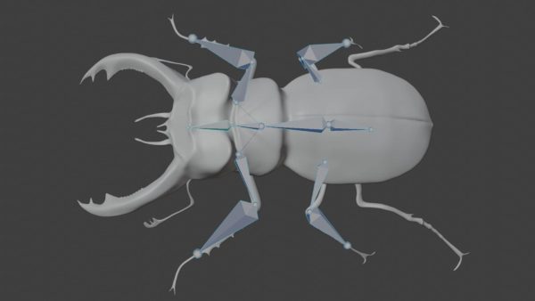 Stag beetle 3d model
