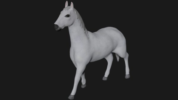 White horse 3d model