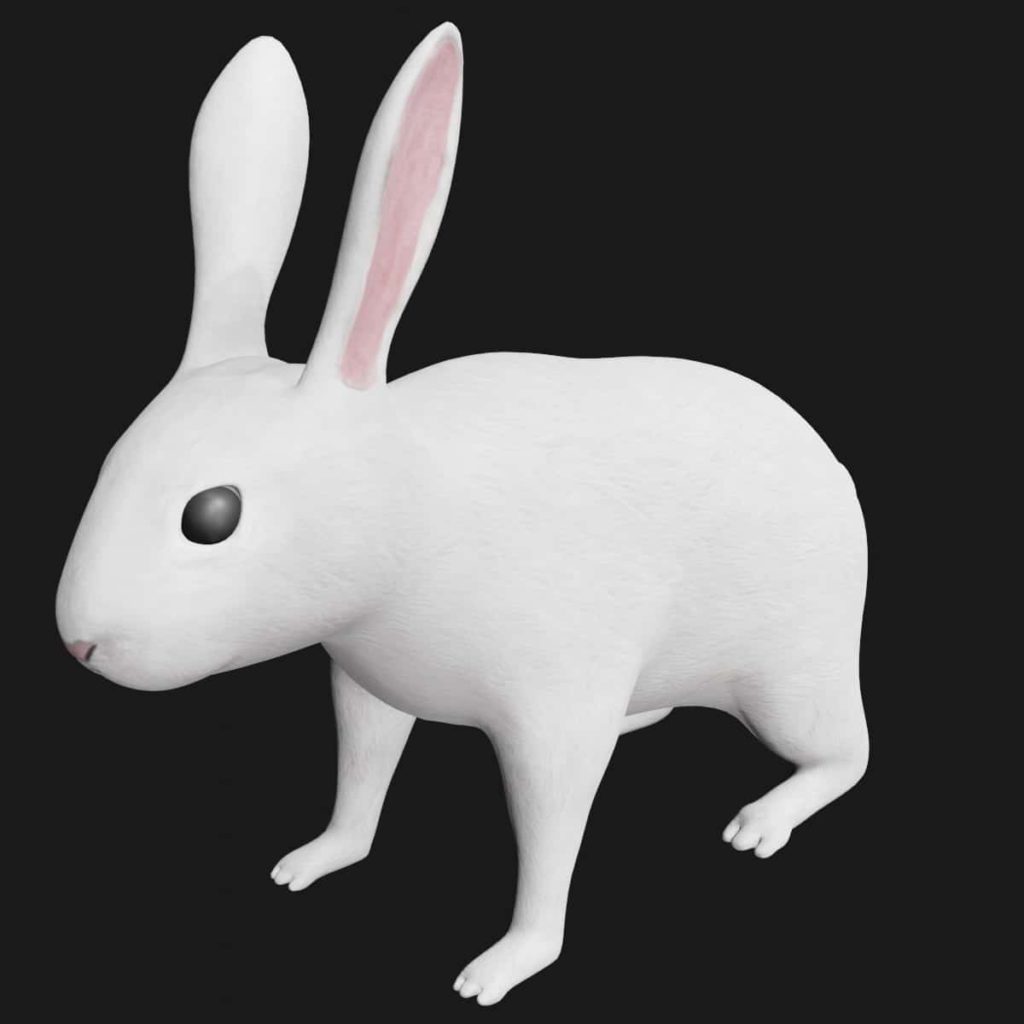 Rabbit Archives - Team 3d Yard