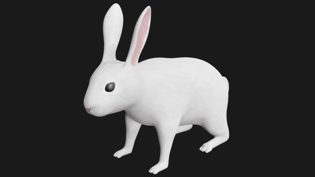 White Rabbit 3D Model Rigged and Low Poly Game ready - Team 3d Yard