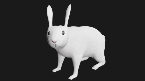 White rabbit 3d model