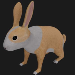 White spotted rabbit 3d model
