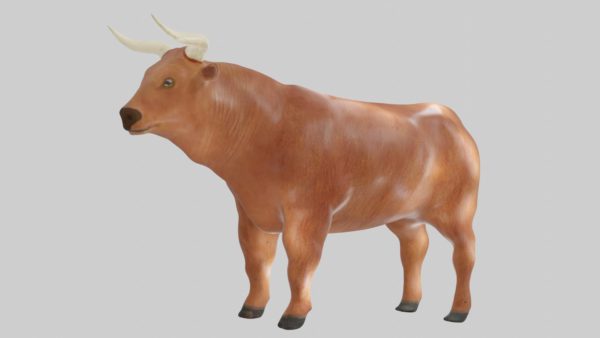 Brown bull 3d model