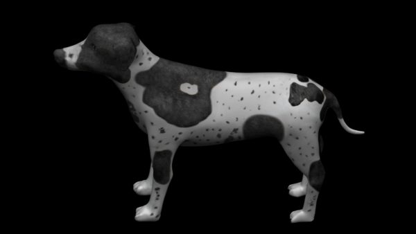 Black pointer dog 3d model