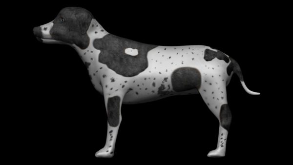 Black pointer dog 3d model