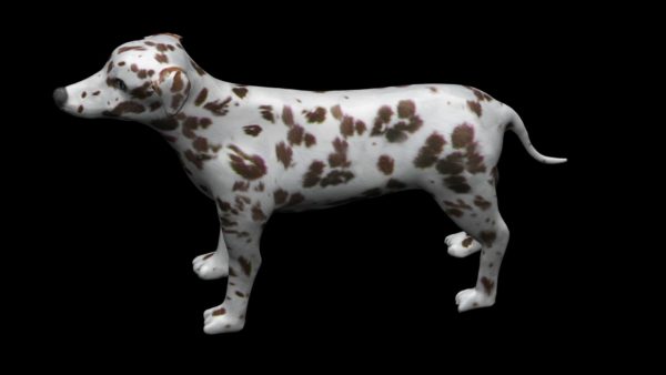 Brown dalmatian dog 3d model
