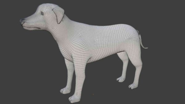 Brown dalmatian dog 3d model