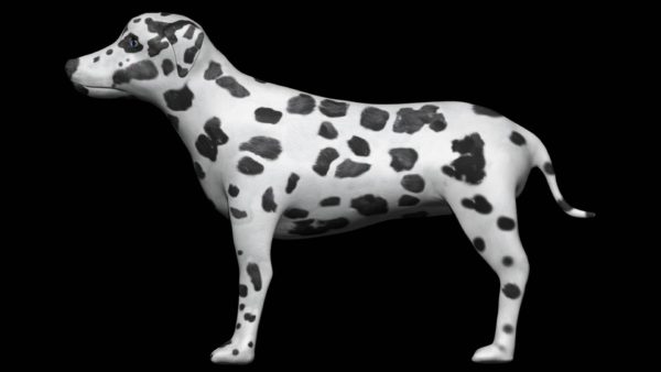 Dalmatian 3d model