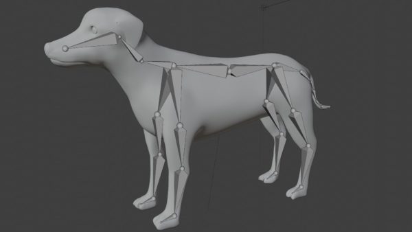 German shorthair dog 3d model