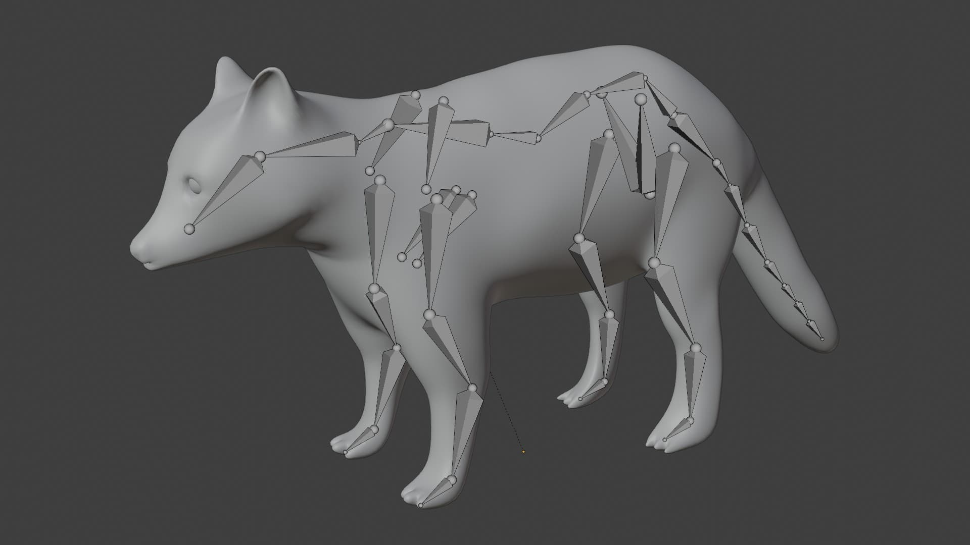 Raccoon 3d Model Rigged and Low poly - Team 3d Yard