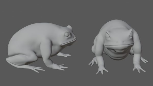 Cane toad 3d model