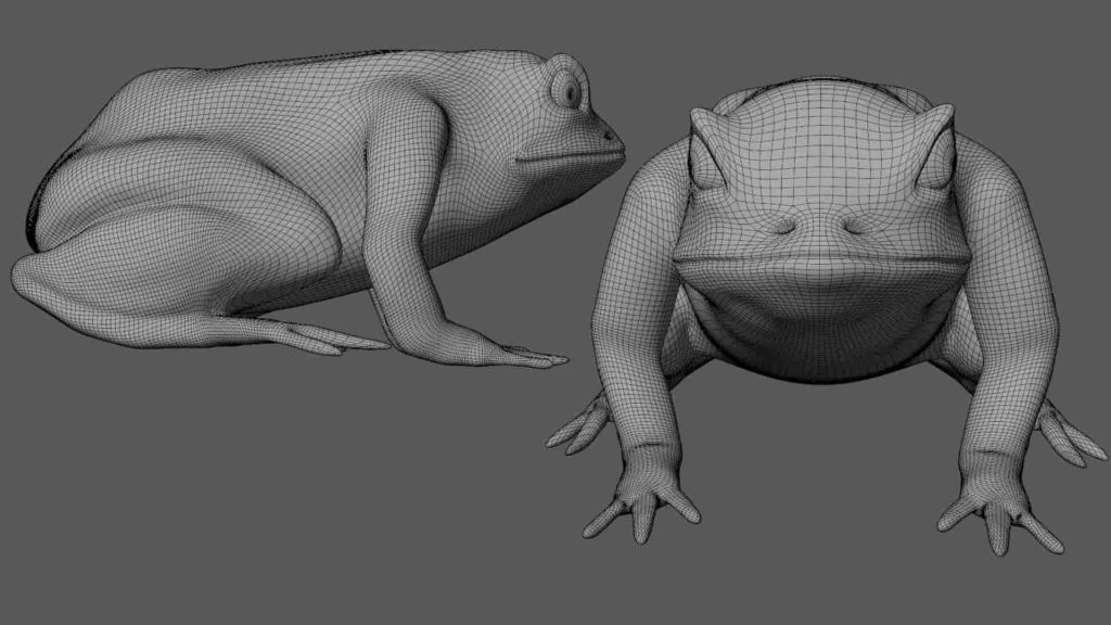 Frog 3d Model Photorealistic Low poly Model - Team 3d Yard