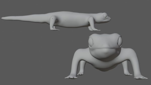 Gecko 3d model