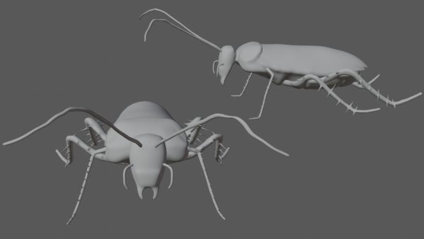 Madagascar hissing cockroach 3d model