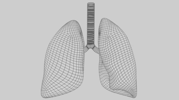 Smoker Lungs 3D Model