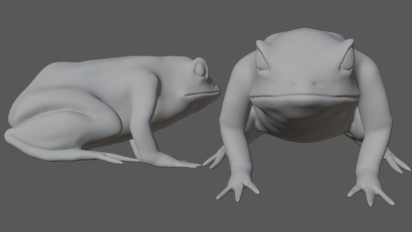 Tree frog 3d model