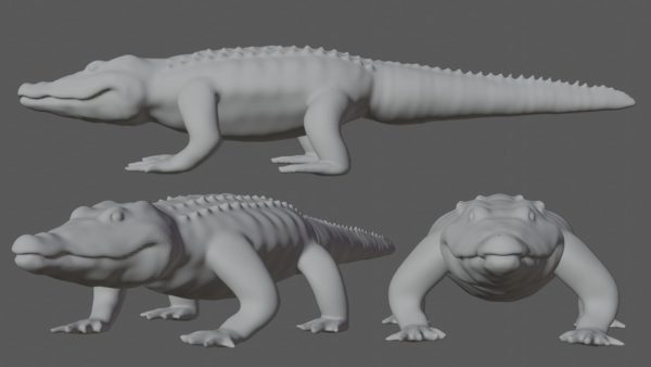 Alligator 3d model