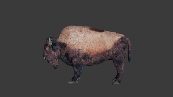 Bison 3d model