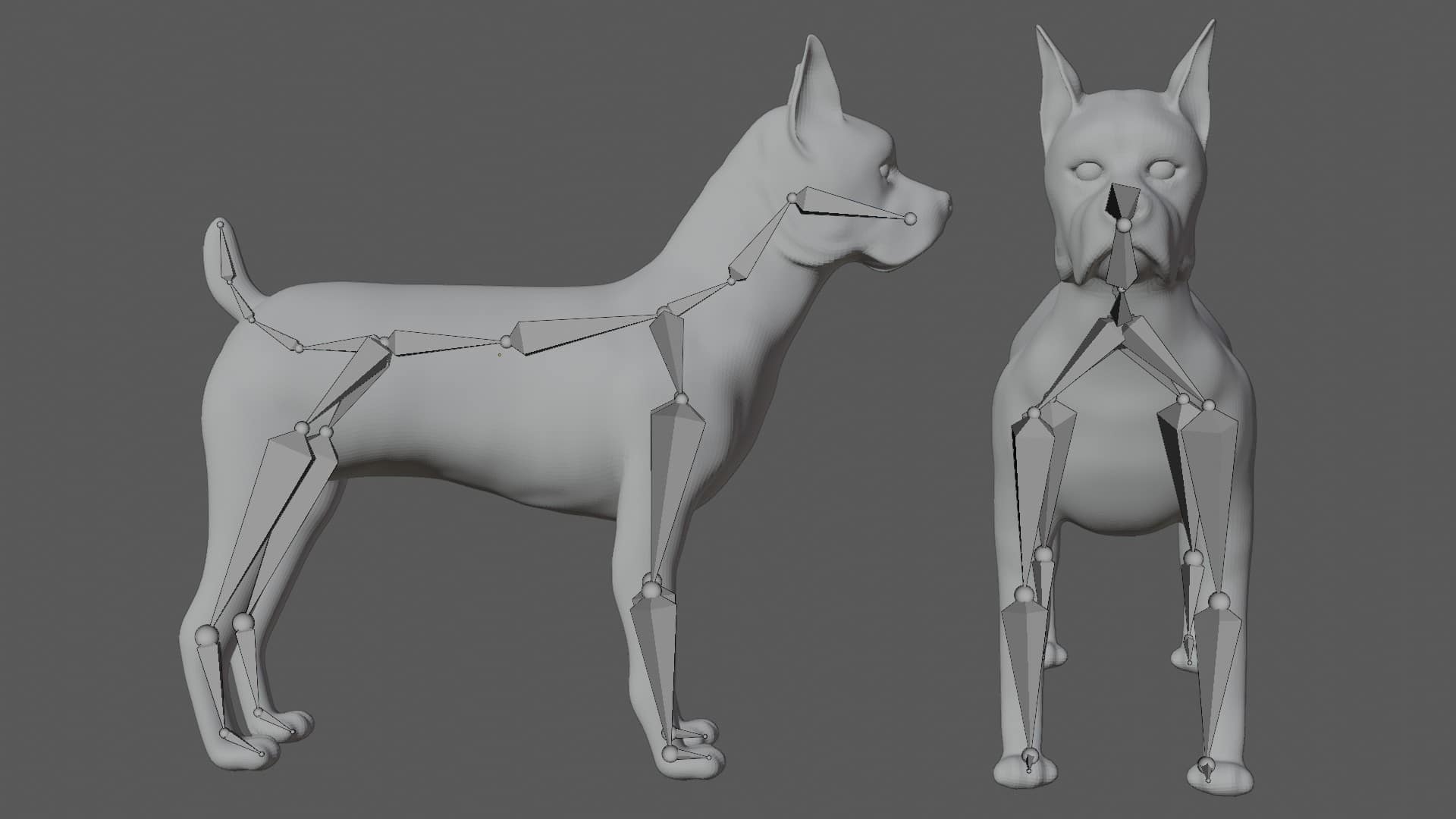 Boxer dog 3D Model Rigged and Low Poly Dog- Team 3d Yard