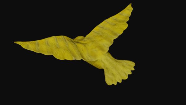 Canary 3d model