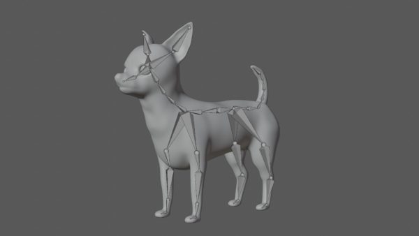 Chihuahua 3d model