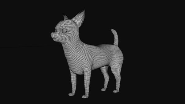 Chihuahua dog 3d model