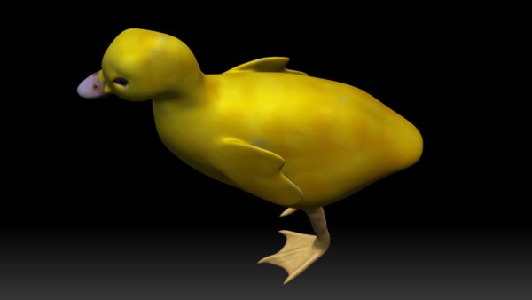 Duckling 3d model