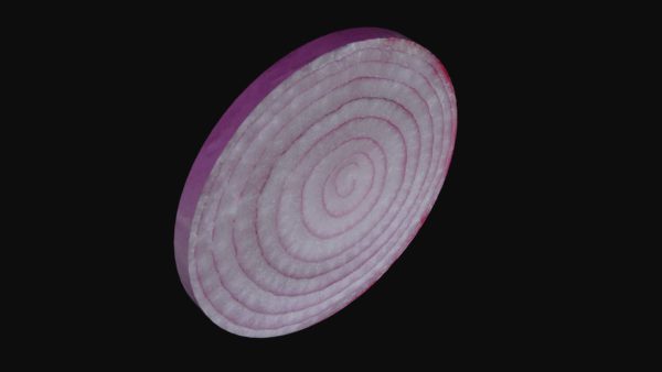 Onion slice 3d model