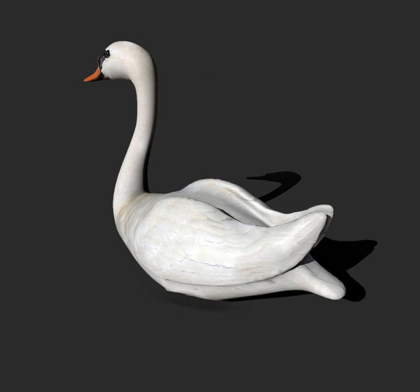 Swan 3d model