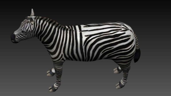 Zebra 3d model