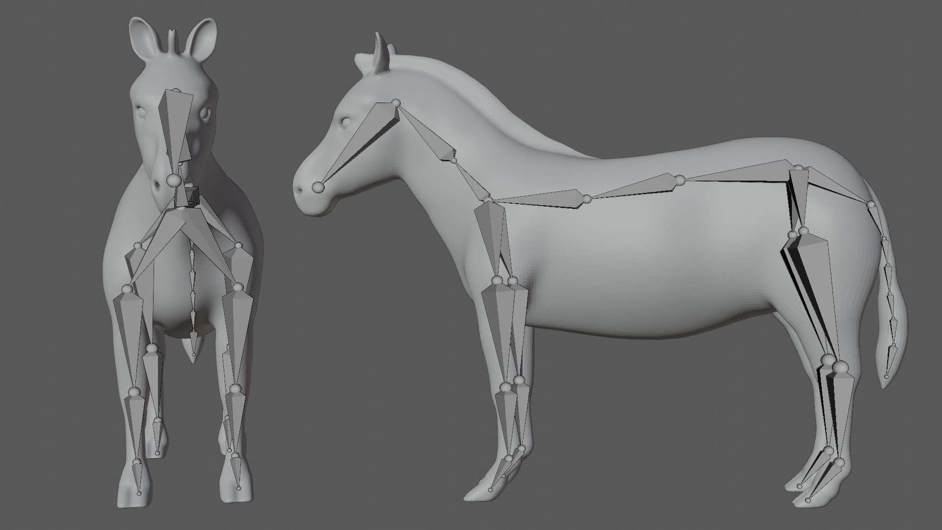 Zebra 3D Model Rigged and Low Poly - Team 3d Yard