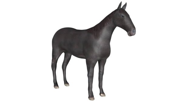 Black horse 3d model