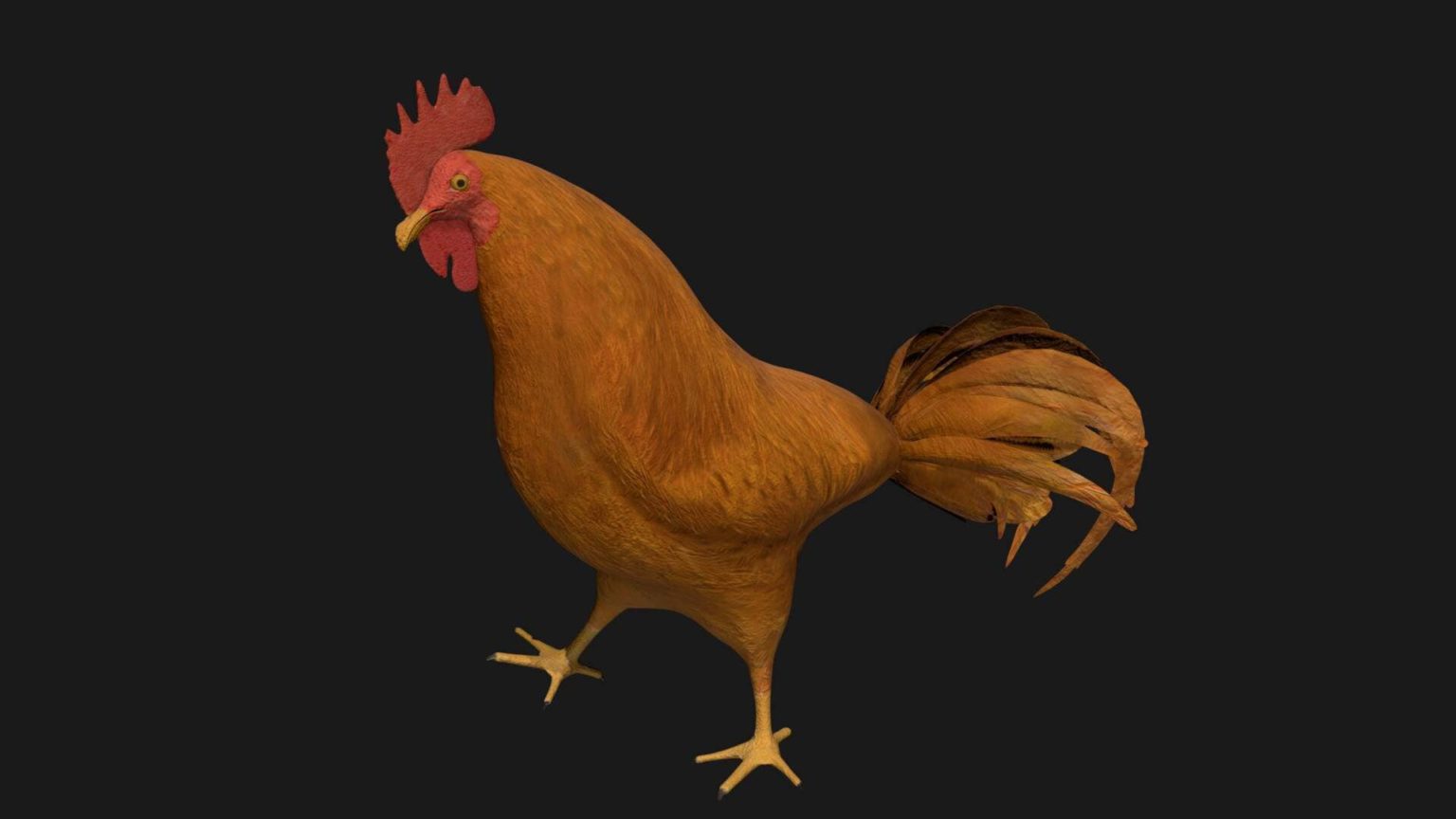 Chicken 3d model rigged and low poly 3d model - Team 3d Yard