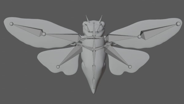Cicada 3d model