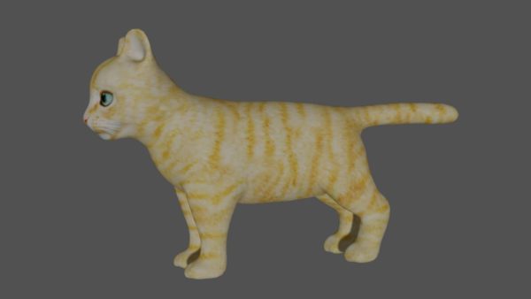 Kitten 3d model