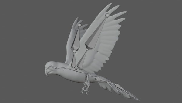 Parrot 3d model