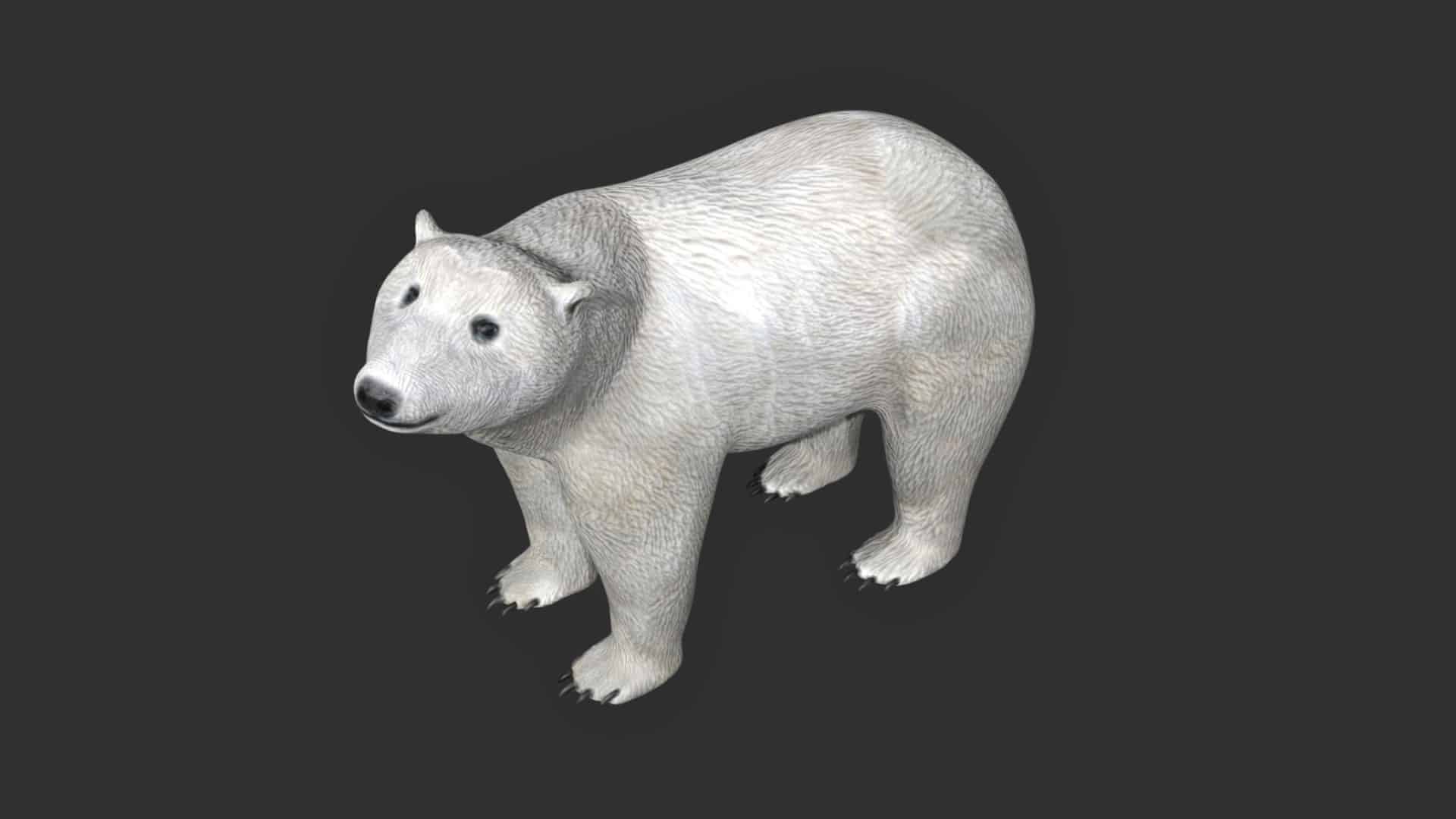 Bear Blender Models for Download