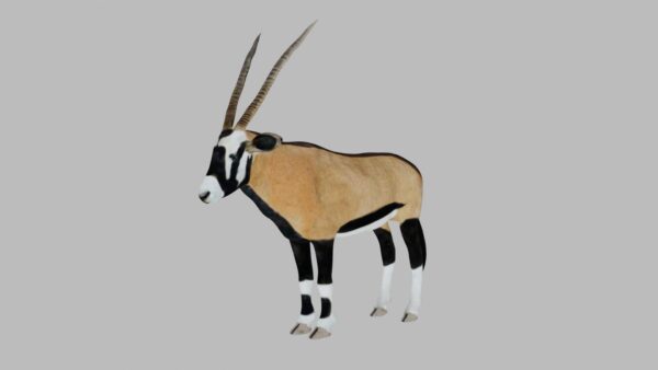 Oryx antelope 3d model