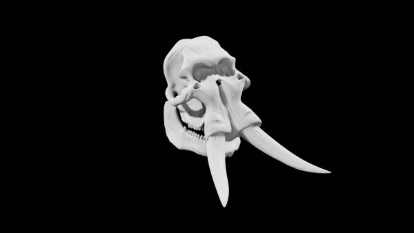 Elephant skull 3d model