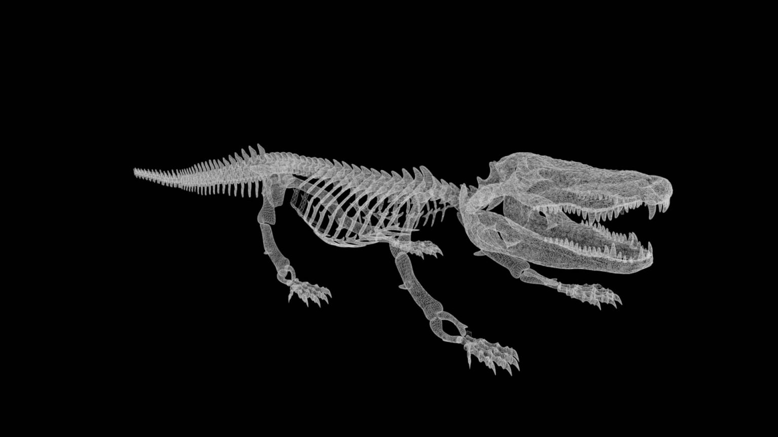 Alligator skeleton 3d model Rigged and low poly - Team 3d Yard