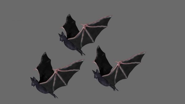 Bat 3d model