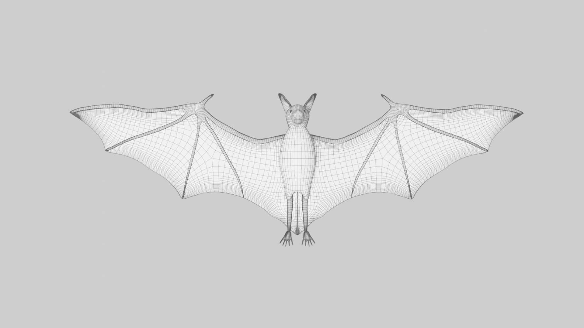 Bat 3d model Rigged and Low Poly - Team 3d Yard