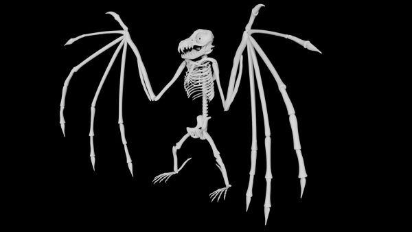 Bat skeleton 3d model