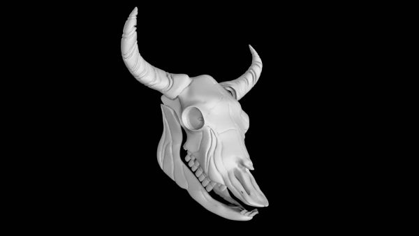 Bison skull 3d model