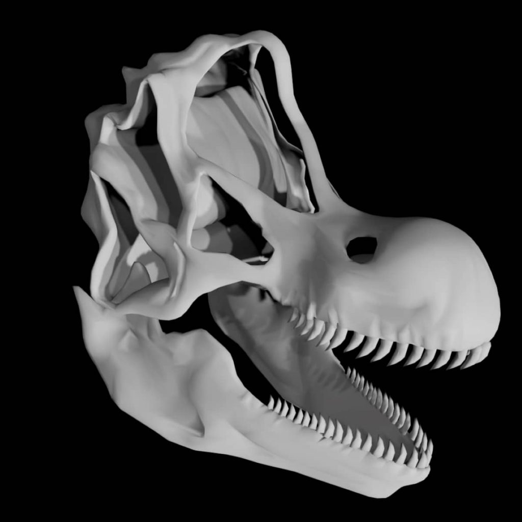 Brachiosaurus skull 3d model Rigged and low poly - Team 3d Yard