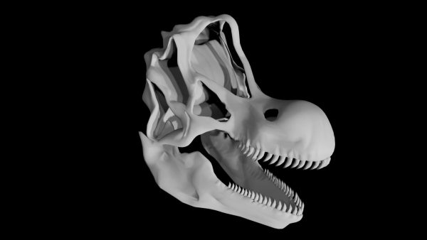 Brachiosaurus skull 3d model