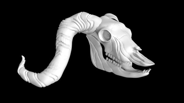 Buffalo skull 3d model